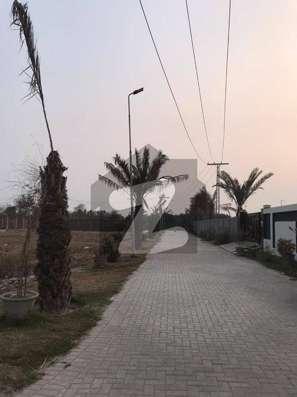 4 Kanal Land Farm House For Sale, Bedian Road Thater Bedian Road