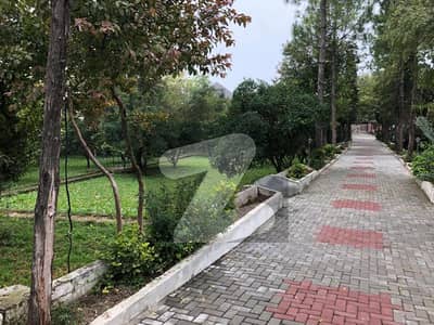 Prime Location Farmhouse For Sell In  Rawalpindi