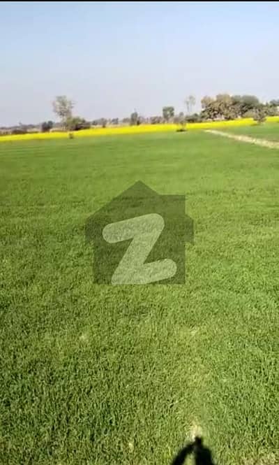 73 Kanal Agriculture Land Is Available For Sale In Chak 103 15L Mian Channu