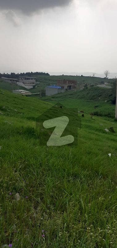 14 Marla South Open Plan Plot For Sale In Sector C, Township Abbottabad