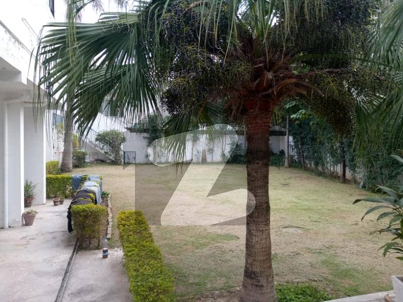 1200 SQYRD Double Storey House with Huge Front Back Lawn Available for Rent E 7