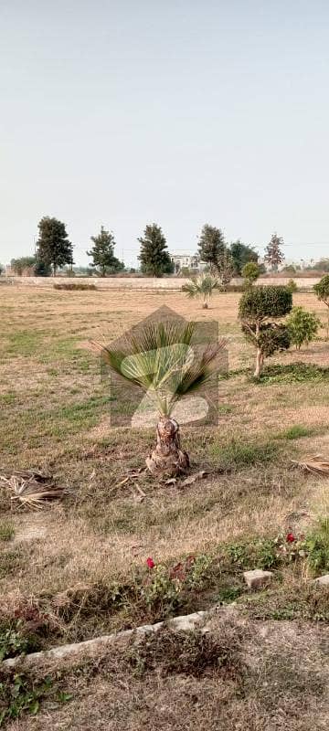 سوئی گیس سوسائٹی فیز 2 سوئی گیس ہاؤسنگ سوسائٹی لاہور میں 1 کنال رہائشی پلاٹ 1.05 کروڑ میں برائے فروخت۔