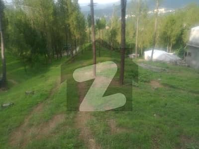 1 Kanal Plot For Sale At Banda Nabi Abbottabad
