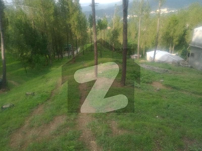 1 Kanal Plot For Sale At Banda Nabi Abbottabad