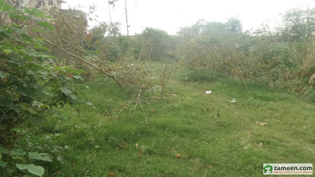 Plot For Sale Plot For Sale