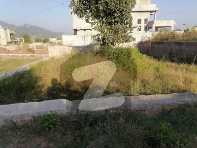 Premium 01 Kanal Plot For Sale in D-12 Islamabad