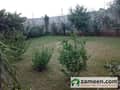 2 Lush Green Lawn 