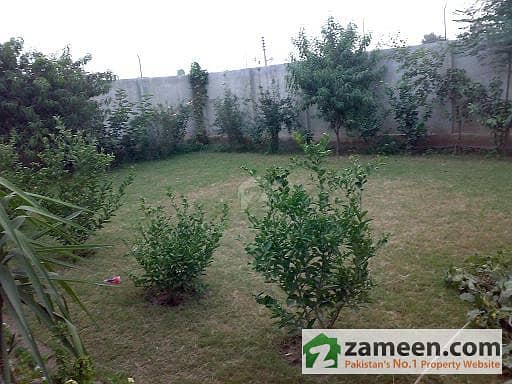 2 Lush Green Lawn 