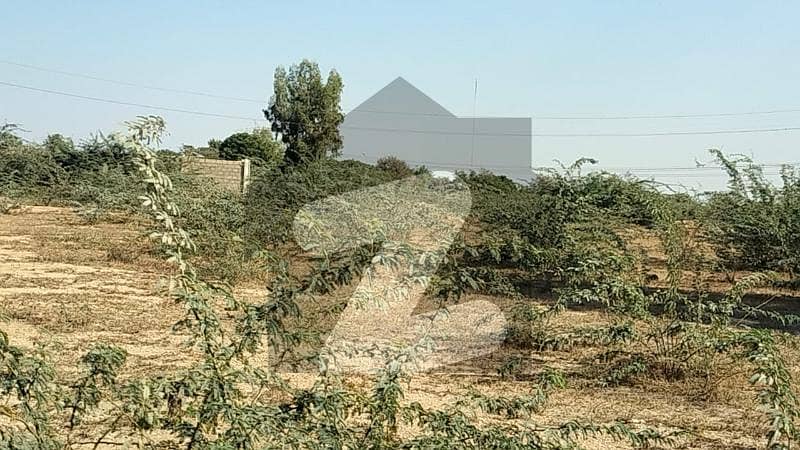 Land for Cattle Farm, Picnic Farm House, Fish Farm Land for Cattle Farm, Picnic Farm House, Fish Farm