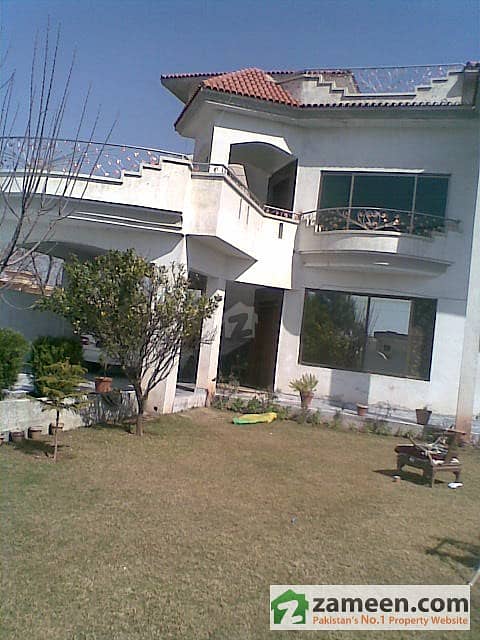 House View