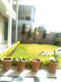 4 Front Lawn