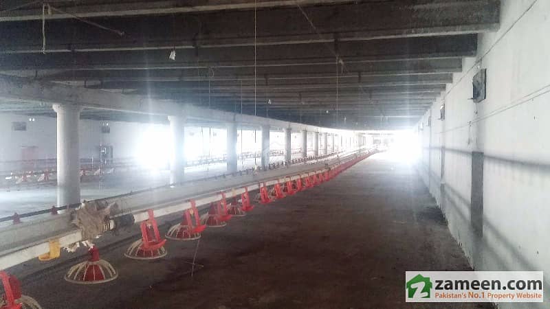 Poultry Control Shed For Sale In Lahore Jaranwala, Sharaqpur Road - Already On Rent 2 Lac 50 Thousand Poultry Control Shed For Sale In Lahore Jaranwala, Sharaqpur Road - Already On Rent 2 Lac 50 Thousand