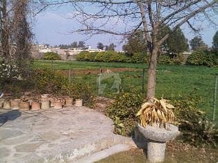 Land View in Farm House 
