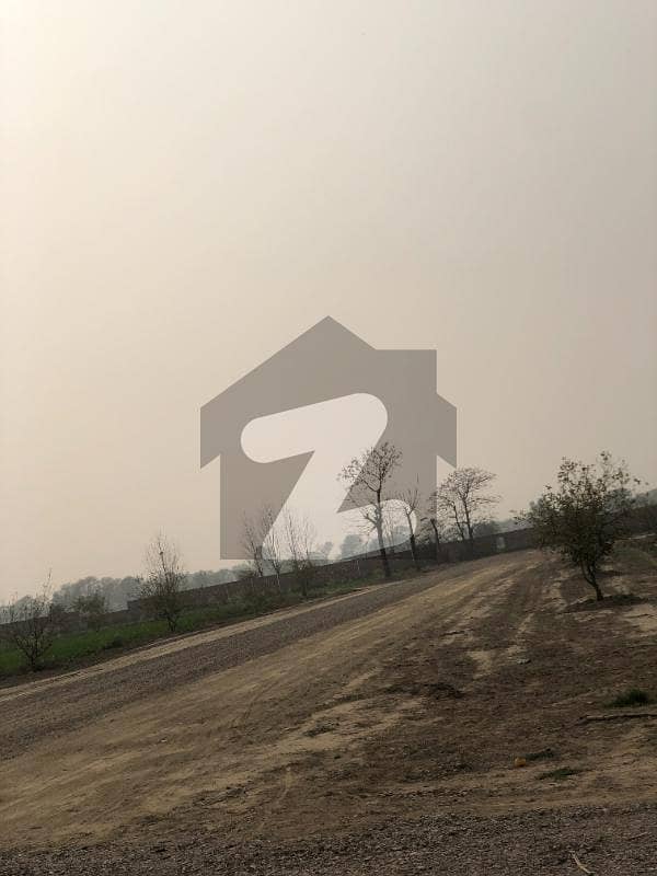 1 Kanal Farm House Land Available For Sale Ready Farm House 4 Year