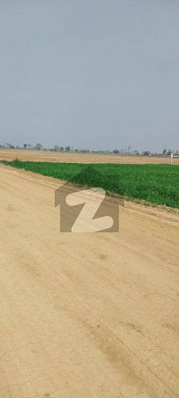 Book Farmhouse Land On Arabian Farms Bhaini Road 4 Years Plan Book Farmhouse Land On Arabian Farms Bhaini Road 4 Years Plan