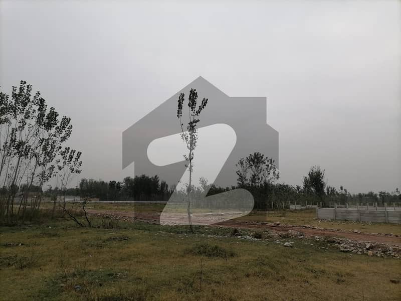 Ready To Buy A Residential Plot In Doranpur Doranpur