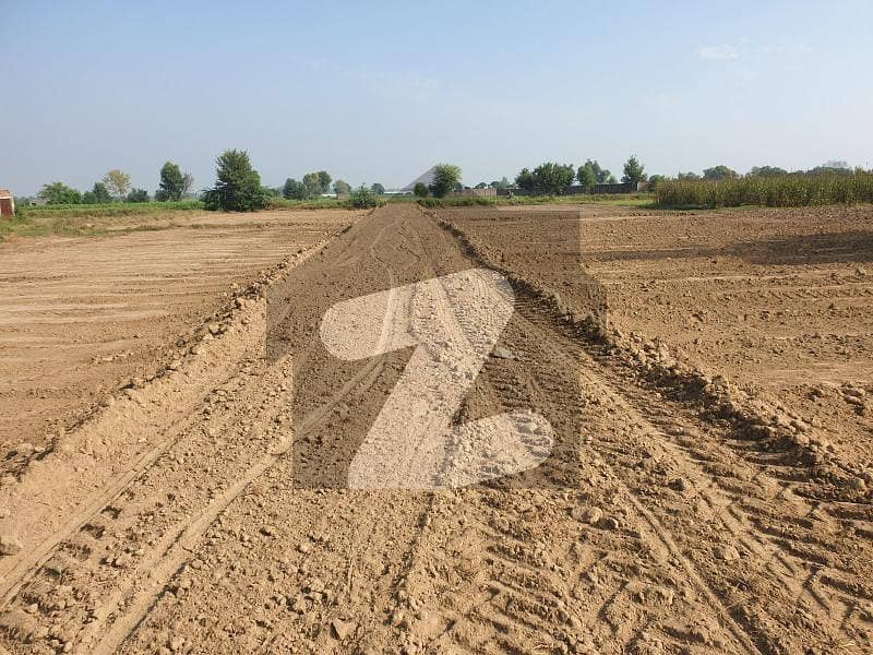 جاہمن لاہور میں 2 کنال زرعی زمین 28 لاکھ میں برائے فروخت۔