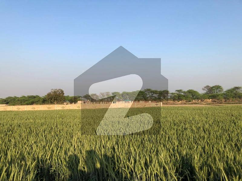 بیدیاں بیدیاں روڈ لاہور میں 30 کنال زرعی زمین 4.8 کروڑ میں برائے فروخت۔