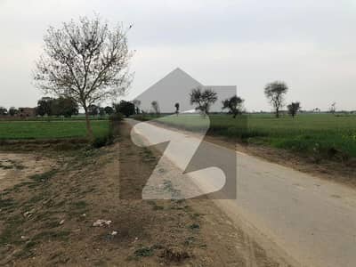 20 Marla Farm House Land In Bedian Road Jahman Very Cheap Price