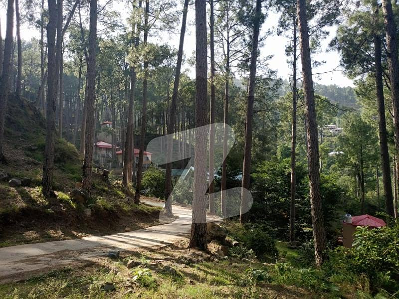 Great Residential Plot Available In Murree For Sale