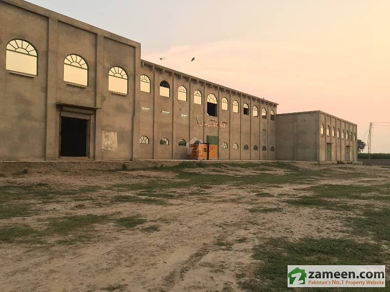 Rice Factory For Sale