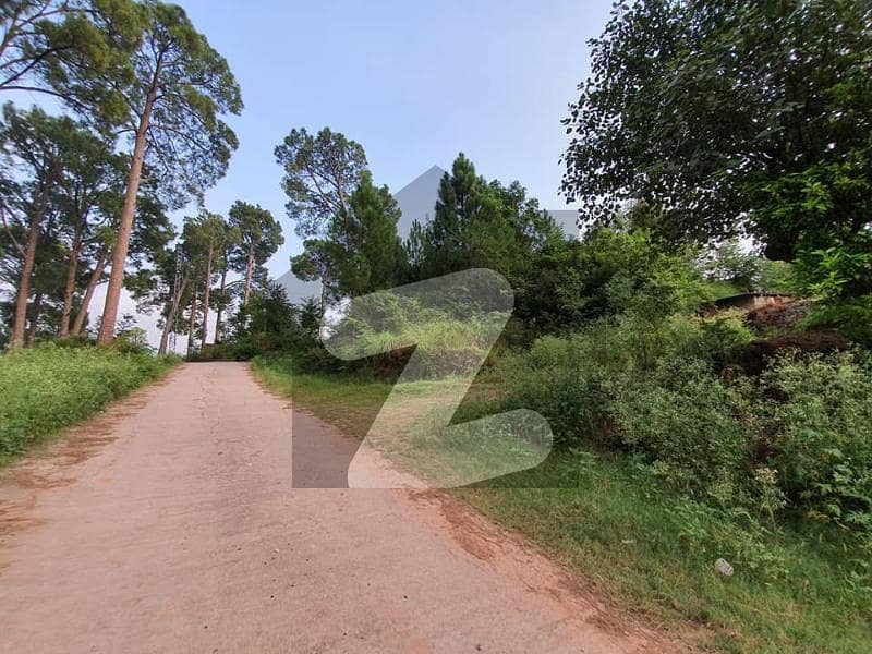 This Is Your Chance To Buy Residential Plot Near Patriata Chairlift