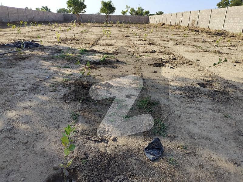 ناردرن بائی پاس کراچی میں 2 کنال زرعی زمین 11.5 لاکھ میں برائے فروخت۔