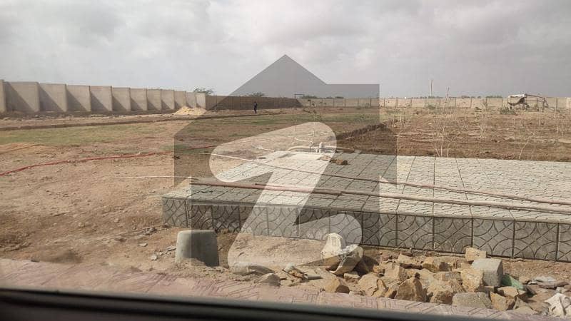 Cattle Farm And Farmhouses Land In Gadap Cattle Farm And Farmhouses Land In Gadap