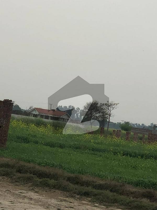 16 Kanal Farm House Land In Available For Sale In Bedian Road Jahman