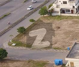 Semi Commercial 4 Kanal 16 Marla Plot Available For Sale In Gulberg