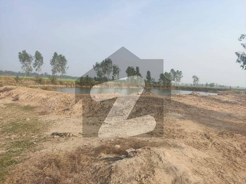 Want To Buy A Agricultural Land In Sheikhupura Muridke Road?