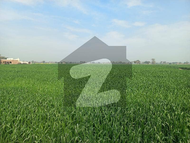 Agricultural Land For Sale Budhla Road Multan Budhla Sannat, Multan