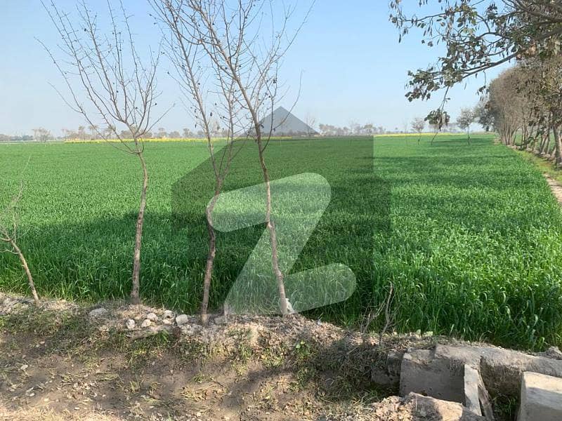 3 Acre Agriculture Land