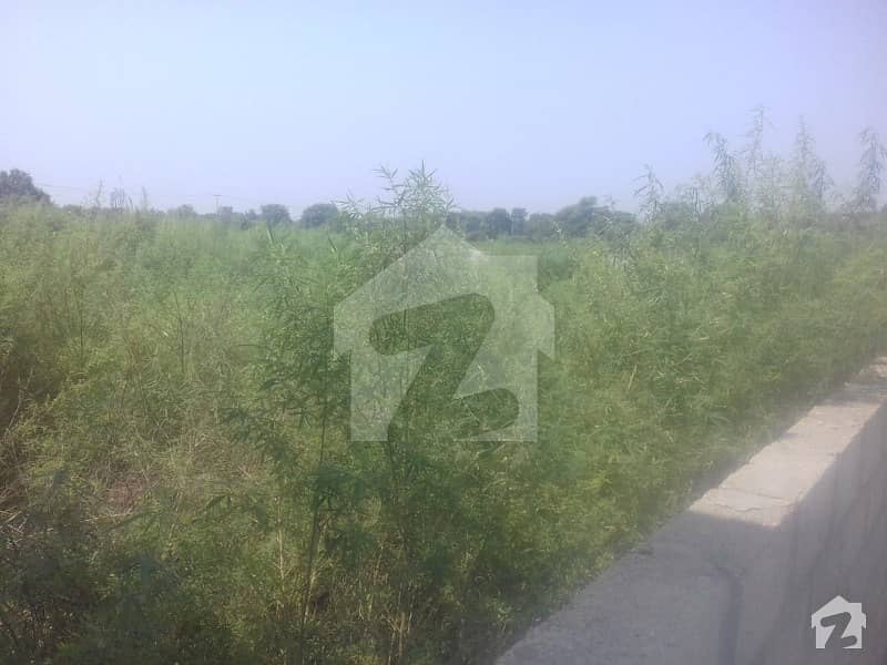 Get In Touch Now To Buy A Residential Plot In Daluwali Get In Touch Now To Buy A Residential Plot In Daluwali