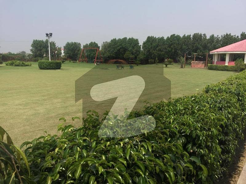 Sarfraz Hamid Properties Offers 02 Marla Commercial Plot For Sale On Beautiful Location In Phase 6 Block B Dha Lahore