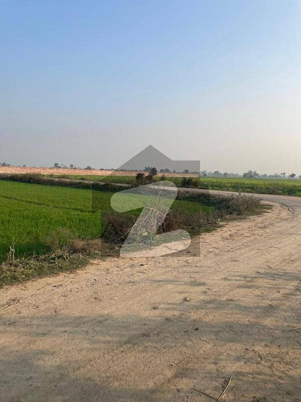 بیدیاں روڈ لاہور میں 16 کنال زرعی زمین 4.55 کروڑ میں برائے فروخت۔