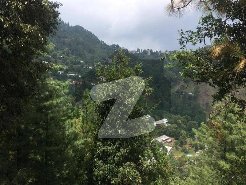 Beautiful Near To Nature Apartment Available For Sale At Murree Gharial Camp