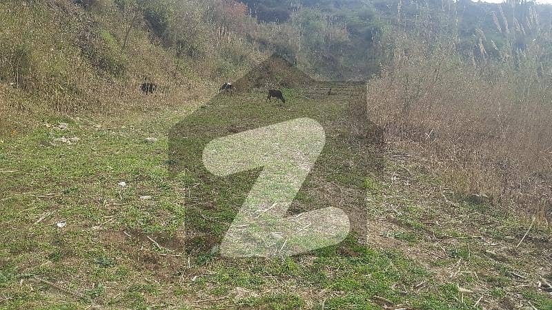30 Marla Plot Available For Sale At Morkalan Abbottabad