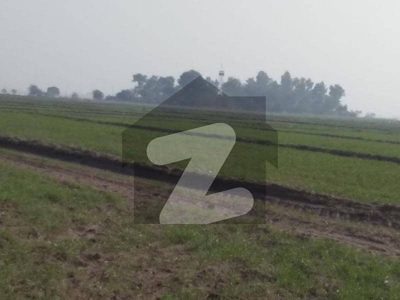 100 Acre Plot Available For Sale Located In Sharaq Pur Road