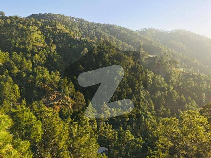 1 Kanal Farm House Land In Beautiful Pir Sohawa Hills