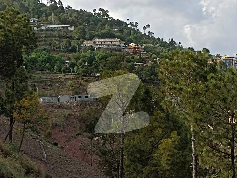 PINE Gardens Murree - Snow Fall Area- Orchard Block - 4 Marla Residential Plot Is Available For sale In Murree by ASCO Properties, Islamabad