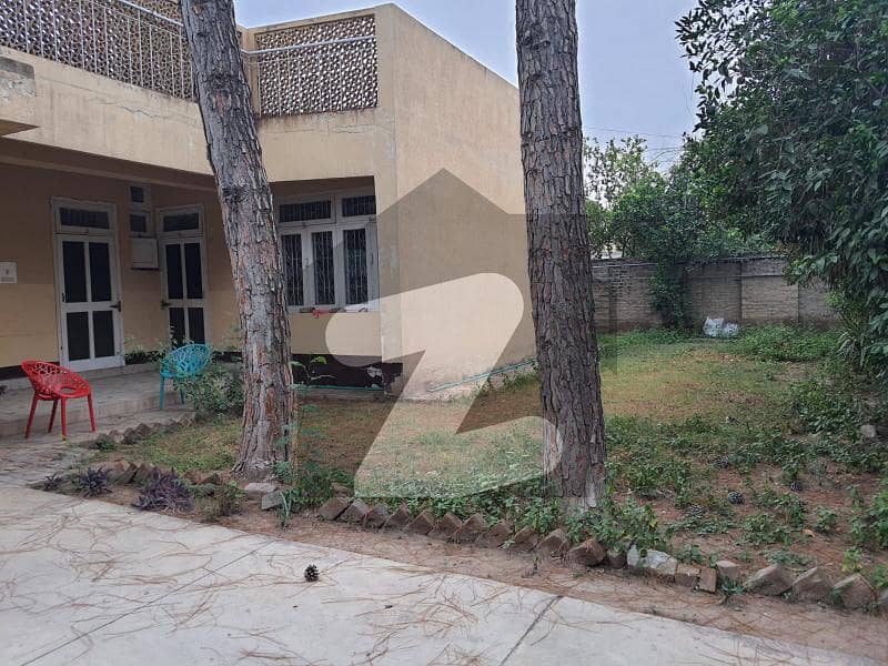 حیات آباد فیز 1 - ڈی1 حیات آباد فیز 1 حیات آباد پشاور میں 5 کمروں کا 2 کنال مکان 9 کروڑ میں برائے فروخت۔