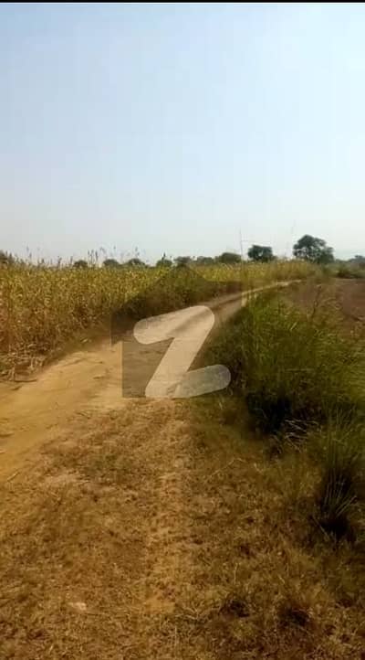 20 Kanal Agricultural Land In Fateh Jang