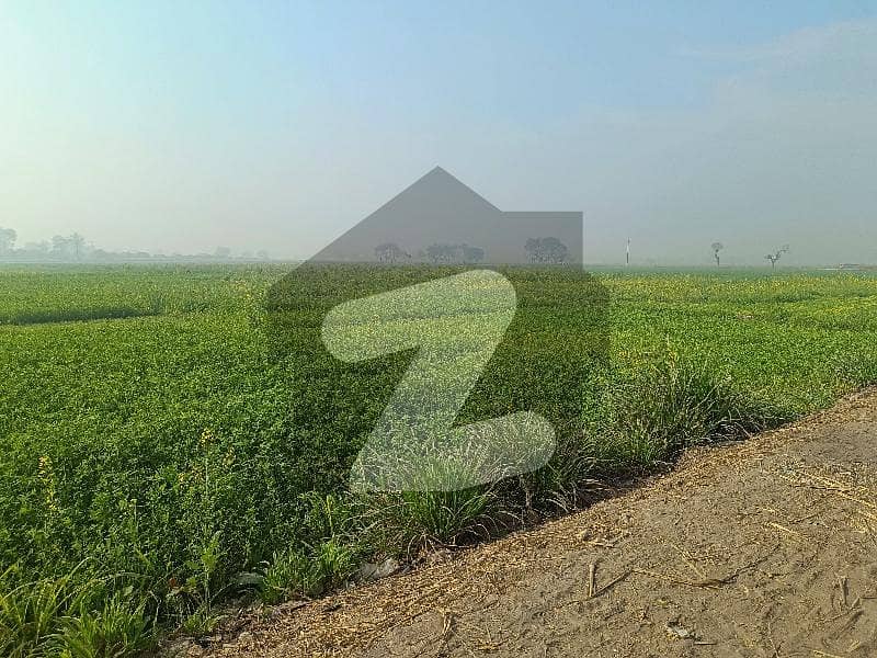 100 Acres Agricultural Land Only 20 Km Away From Rahim Yar Khan