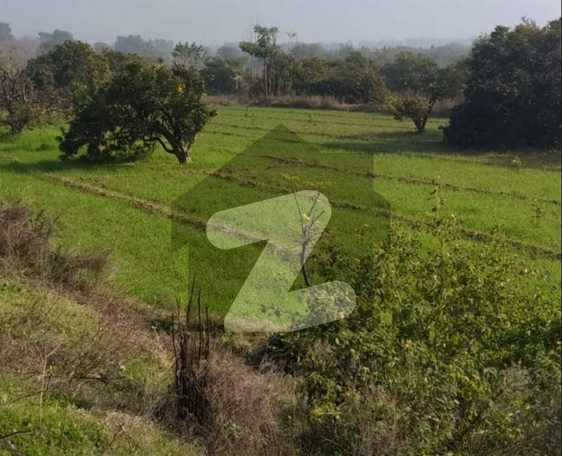Agricultural Land For Sale ( Electricity, Water, Gas Available)
