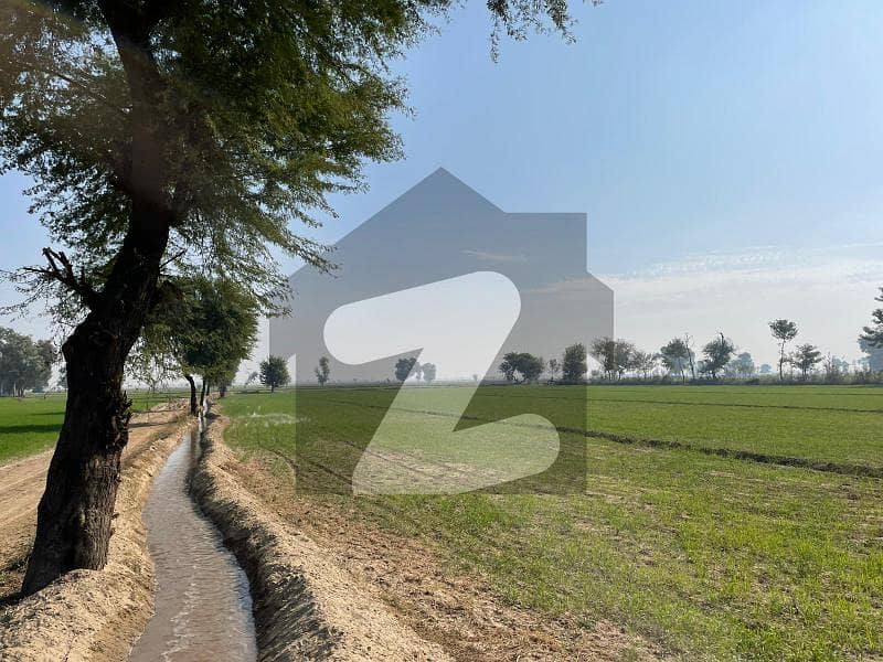 50 Acres Excellent Fertile Agricultural Land Tehsil & District Bahawalnagar