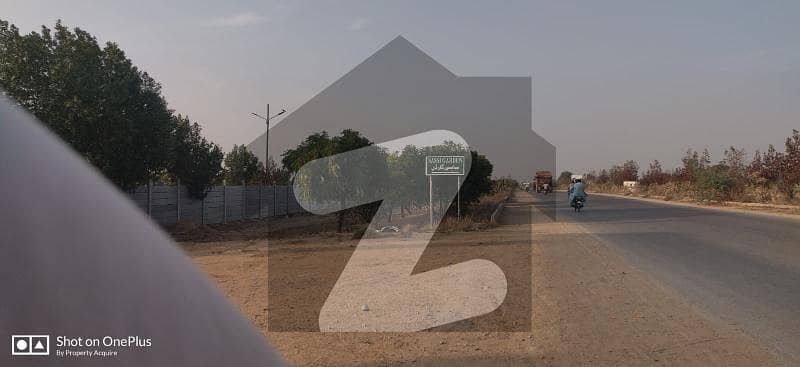 Sassi Garden Plot For Sale Sassi Garden Plot For Sale