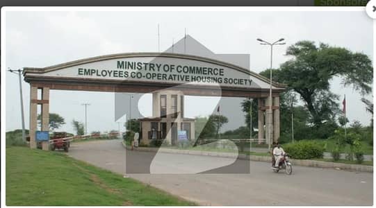 Sector E19 Ministry Of Commerce 1 Kanal Plot For Sale