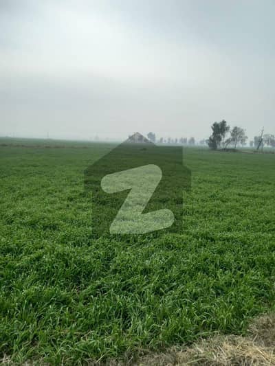 شرقپور روڈ لاہور میں 224 کنال زرعی زمین 47.6 کروڑ میں برائے فروخت۔