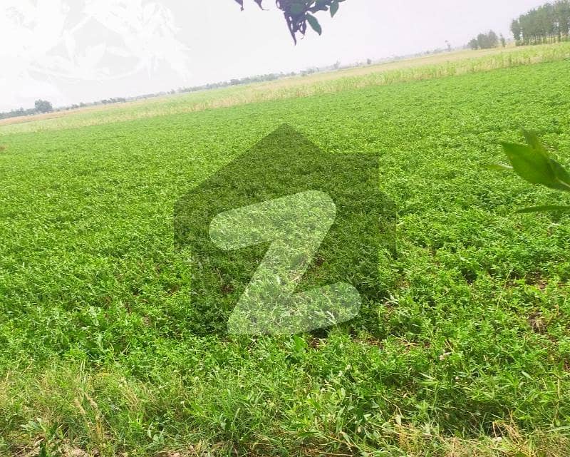 2 Acer Land For Sale For Farmhouse, Farming At Link Near Jaranwala Road